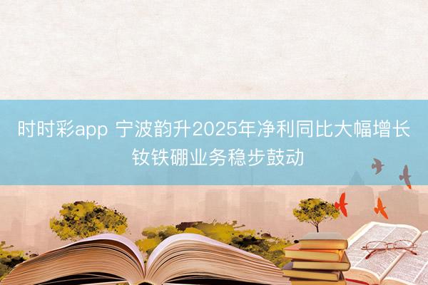 时时彩app 宁波韵升2025年净利同比大幅增长 钕铁硼业务稳步鼓动
