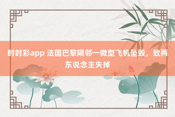 时时彩app 法国巴黎隔邻一微型飞机坠毁，致两东说念主失掉