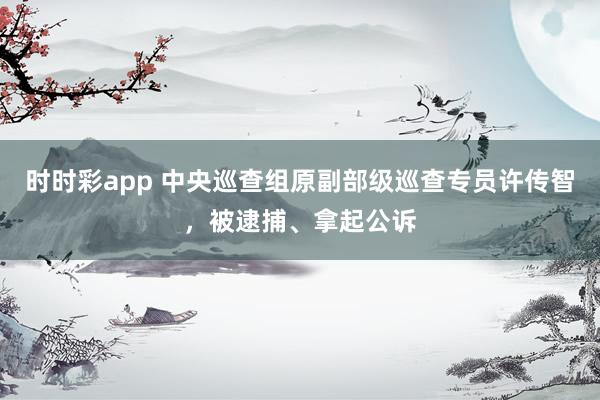 时时彩app 中央巡查组原副部级巡查专员许传智,被逮捕、拿起公诉