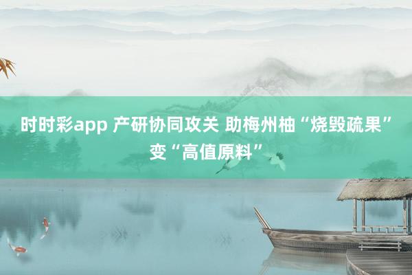 时时彩app 产研协同攻关 助梅州柚“烧毁疏果”变“高值原料”