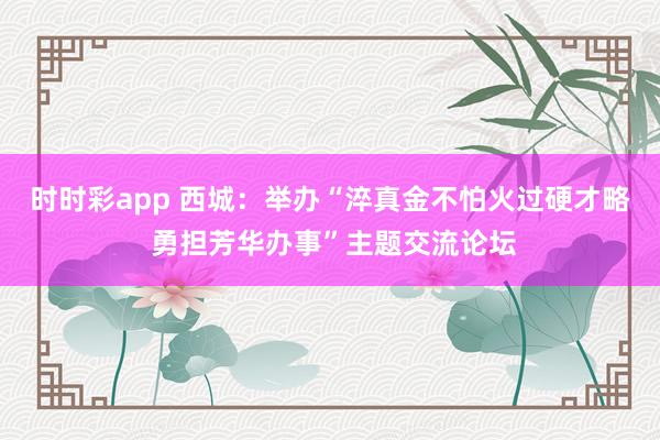时时彩app 西城:举办“淬真金不怕火过硬才略 勇担芳华办事”主题交流论坛