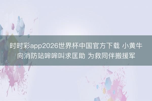 时时彩app2026世界杯中国官方下载 小黄牛向消防站哞哞叫求匡助 为救同伴搬援军
