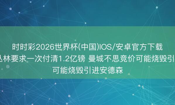 时时彩2026世界杯(中国)IOS/安卓官方下载 镜报：丛林要求一次付清1.2亿镑 曼城不思竞价可能烧毁引进安德森