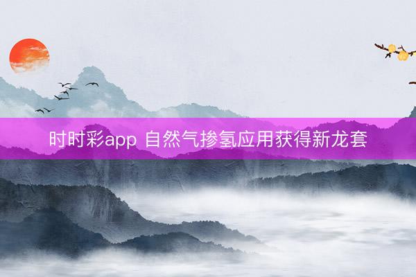 时时彩app 自然气掺氢应用获得新龙套