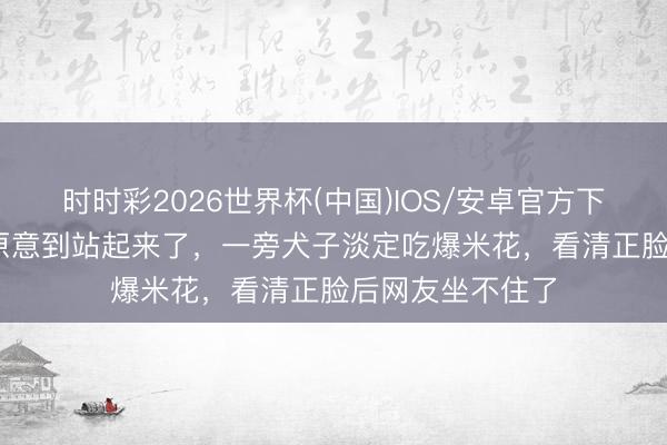 时时彩2026世界杯(中国)IOS/安卓官方下载 邓超看NBA原意到站起来了，一旁犬子淡定吃爆米花，看清正脸后网友坐不住了